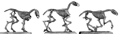 Skeletal horse (28mm)